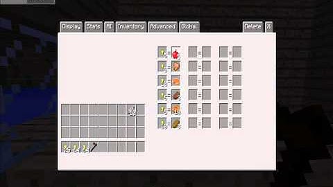 Minecraft The Custom NPC