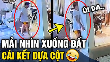 Những tình huống hài hước 