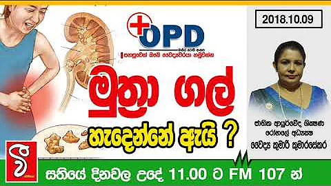 ? - OPD Program | 2018-10-09