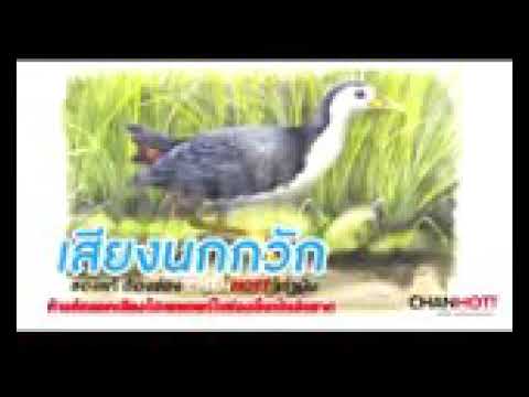 BULLI KODI VOICE 1HOUR  SOUND