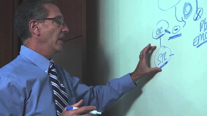 Explaining chronic pain: The role that stress plays and the creation of learned nerve pathways