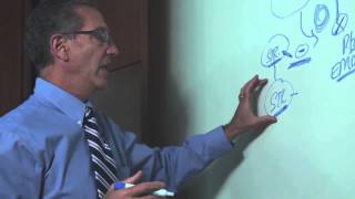 explaining chronic pain the role that stress plays and the creation of learned nerve pathways