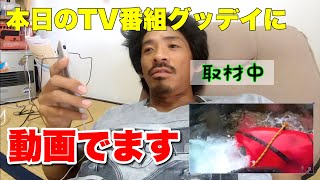 本日テレビ番組からただで取材された一部始終【直撃LIVEグッデイ】