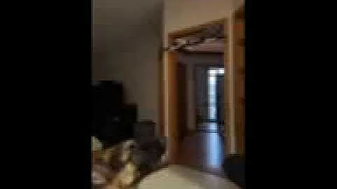 Help with clarinet