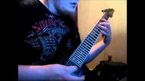 Devin Townsend - By your command Guitar Cover by Nikke Kuki take 32