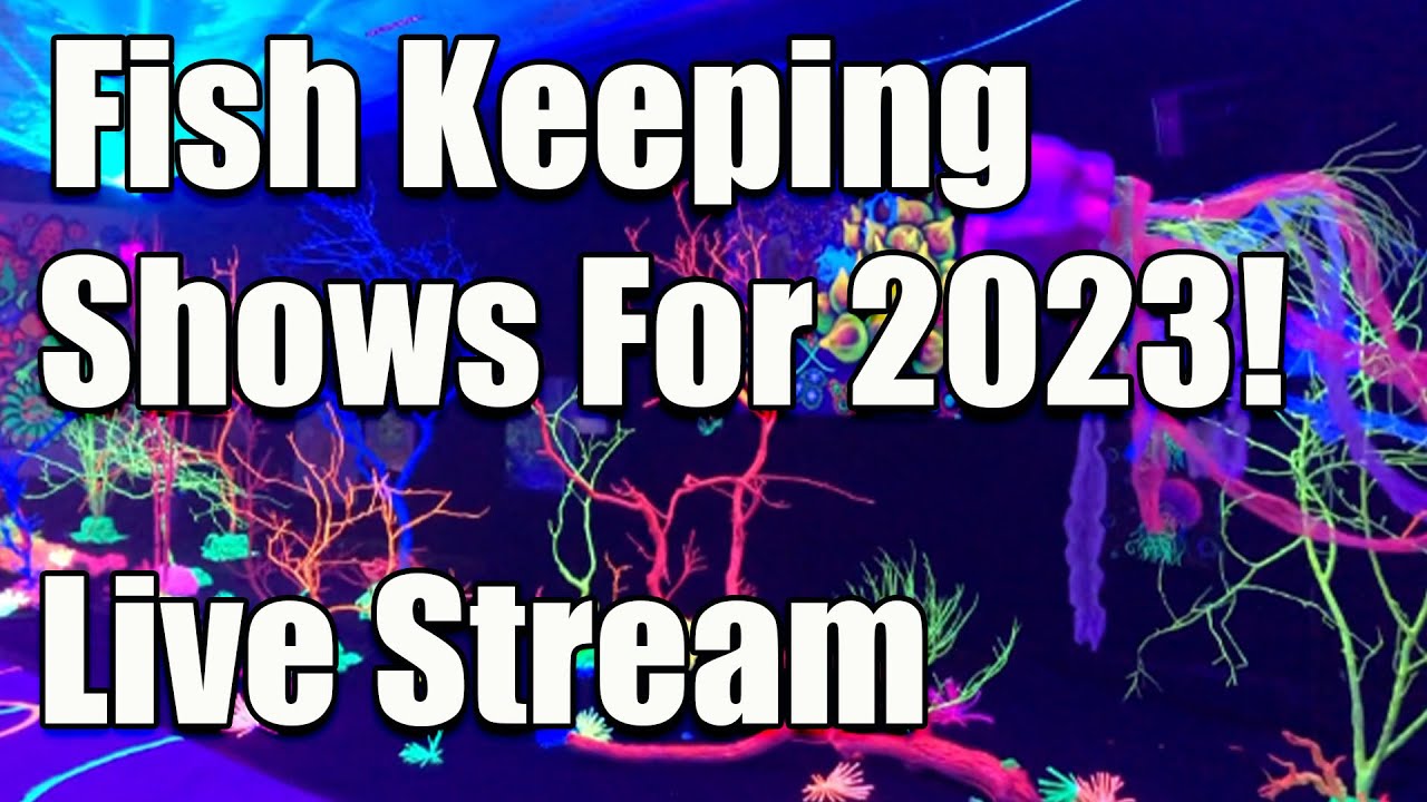 [LIVE] There are A LOT of Cool Fish Shows This Year! Plus Fish Q&A ...