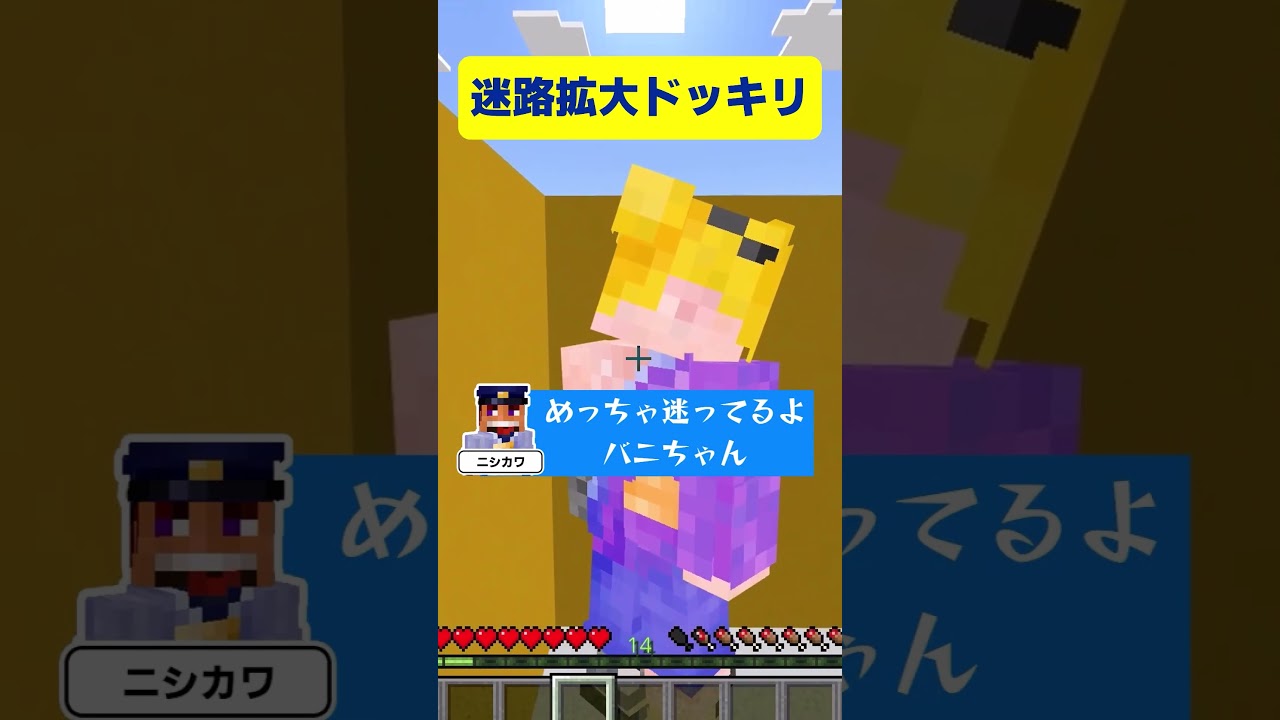 【マイクラ】俯瞰で解いたと思った迷路が中に入ったら拡大してるドッキリ