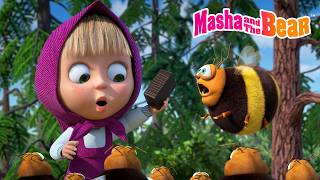 masha bear 2026 one candy before dinner best episodes cartoon