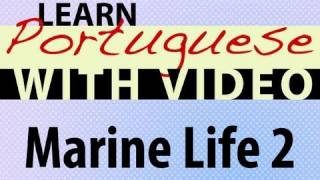 ⁣Learn Brazilian Portuguese with Video - Marine Life 2