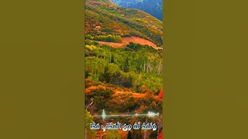 سورة مريم و،.كا.نك تسمعها لأ،؛و.ل مر.ة💔،؛🌸❣️🏵️،؛💛🌼💟بصوت الشيخ حمزة مد،بو.ح 🧡💓،.💜❤️..🌷💗💐