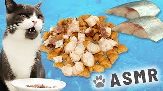 Cat Asmr Eat Horse Mackerel And Crispy Combo Eating Sound