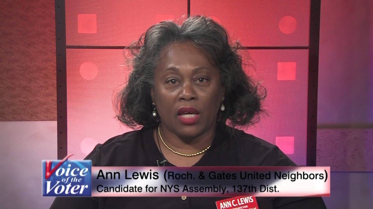 Ann C. Lewis (RGUN), Candidate for the 137th State Assembly District