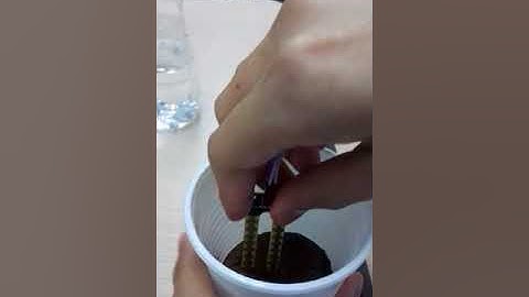 Sensor de humedad del suelo con Labview y Arduino