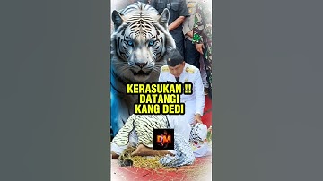 KERASUKAN ‼️ Dedi Mulyadi #dedimulyadi #shorts #viralshorts