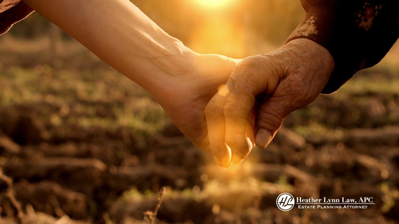 Put Yourself And Family At Ease With Heather Lynn Law