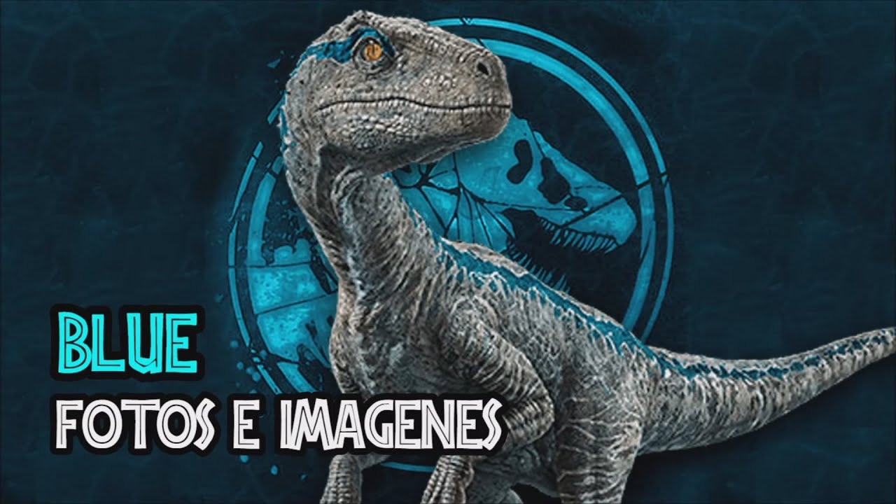 Blue | Fotos e imágenes del velociraptor mas querido de Jurassic World -  YouTube