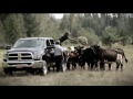 Fernelius Farm Ram Trucks