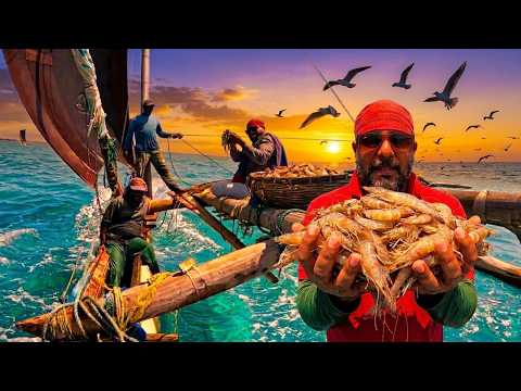 Amazing Prawn Catching sailing Adventure  | මුහුදු මඩ ඉස්සො සොයා | You Won’t Believe This 🦐😲🎣