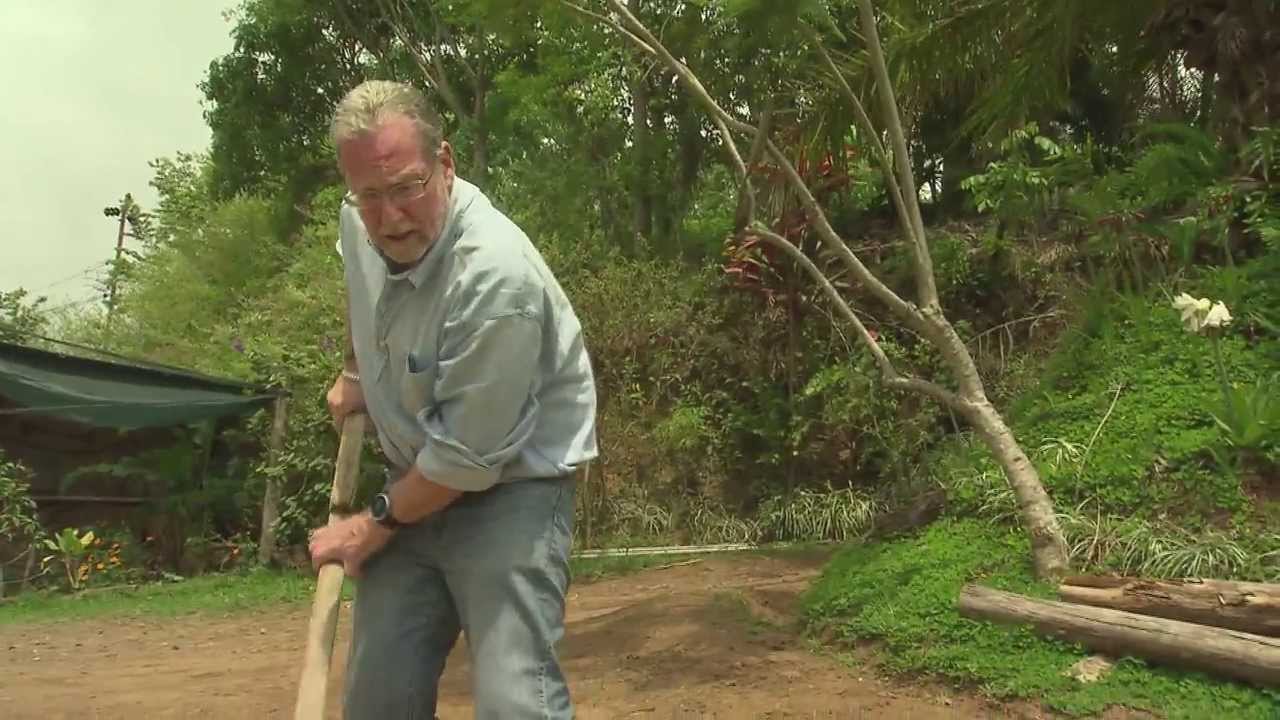 Go Local and Organic to Taste Some of Costa Rica's Best Coffee