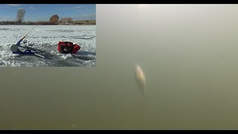 Jigging JawJacker Vs. Stunted Perch, JawJacker Video