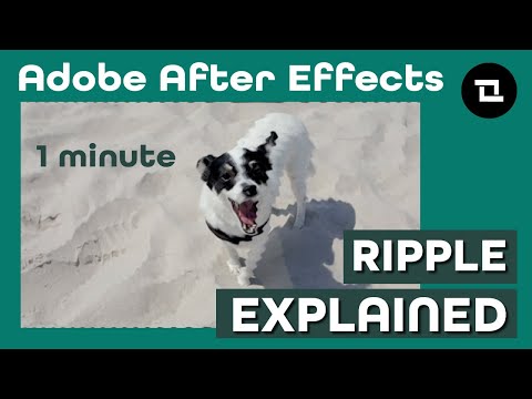 After Effects Under 1 Minute: Ripple. Ripple Explained? What is Ripple?