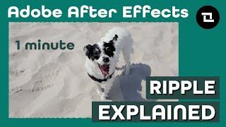Famous After Effects Under 1 Minute: Ripple. Ripple Explained? What is Ripple? Wealth