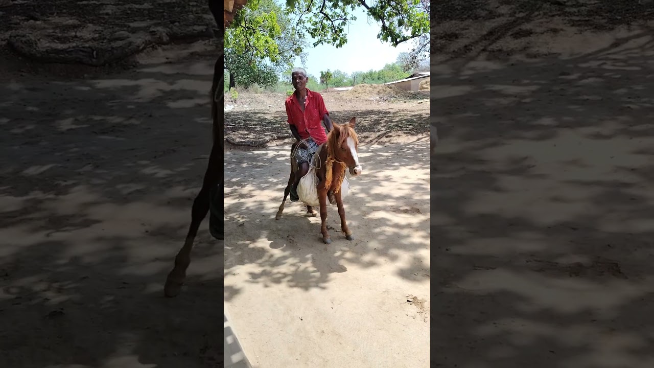 lakari ki kati Kati pe ghoda 🐎🐎🐎🐎