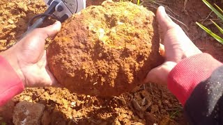 Grande pedra com OURO encontrada com o detector de metal