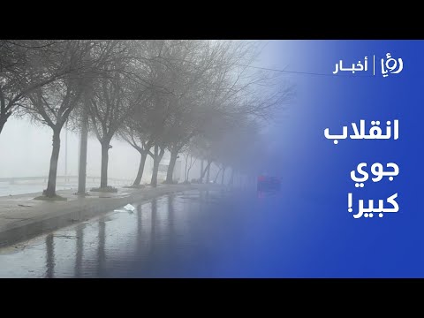 انقلاب شتوي حاد دفء يلامس الـ 20 درجة الخميس ومنخفض ماطر بغزارة الجمعة 