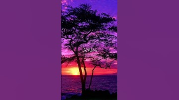 ما تيسر من سورة مريم | القرآن الكريم | القارئ ياسر الدوسري | عثمان الخميس