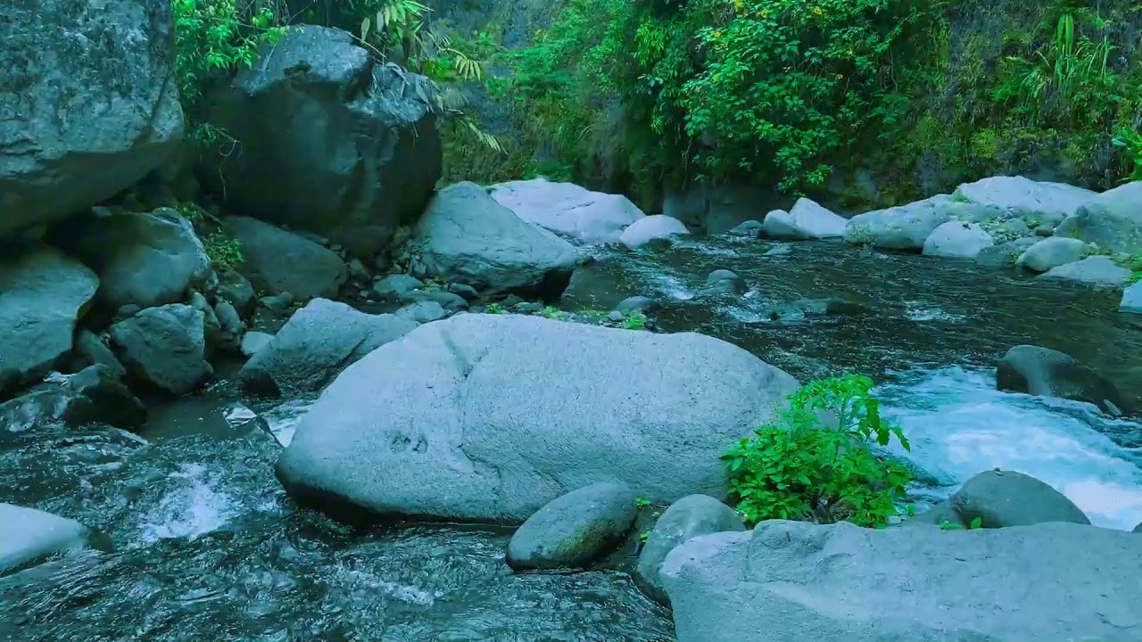Tranquil Green Stream Flow to help Better Sleep, Therapy & Study