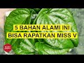 5 CARA ALAMI MERAPATKAN MISS V