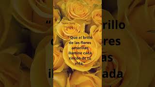 #floresamarillas #frases #teamsusyfrases #amor #frasescelebres #amorpropio