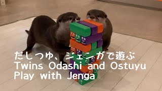 だしつゆ、ジェンガで遊ぶ　Twins Odashi and Ostuyu Play with Jenga