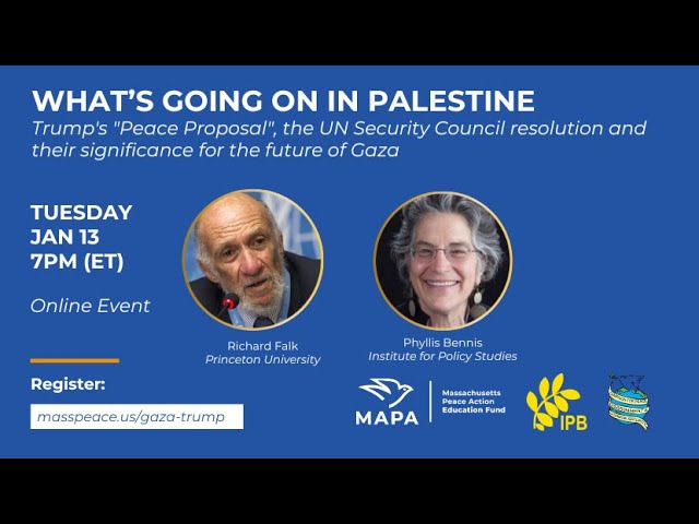 What's Going on in Palestine