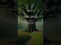 Quran Kareem #islamic#quran#trending crater video