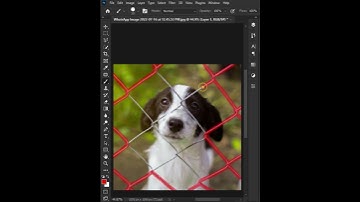 Remove Fences in Photoshop #shorts
