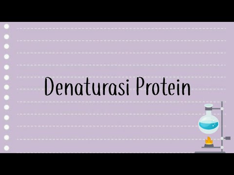 Video: Apa artinya protein didenaturasi dan bagaimana mereka bisa terdenaturasi?