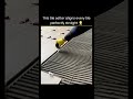 Expert Leveling