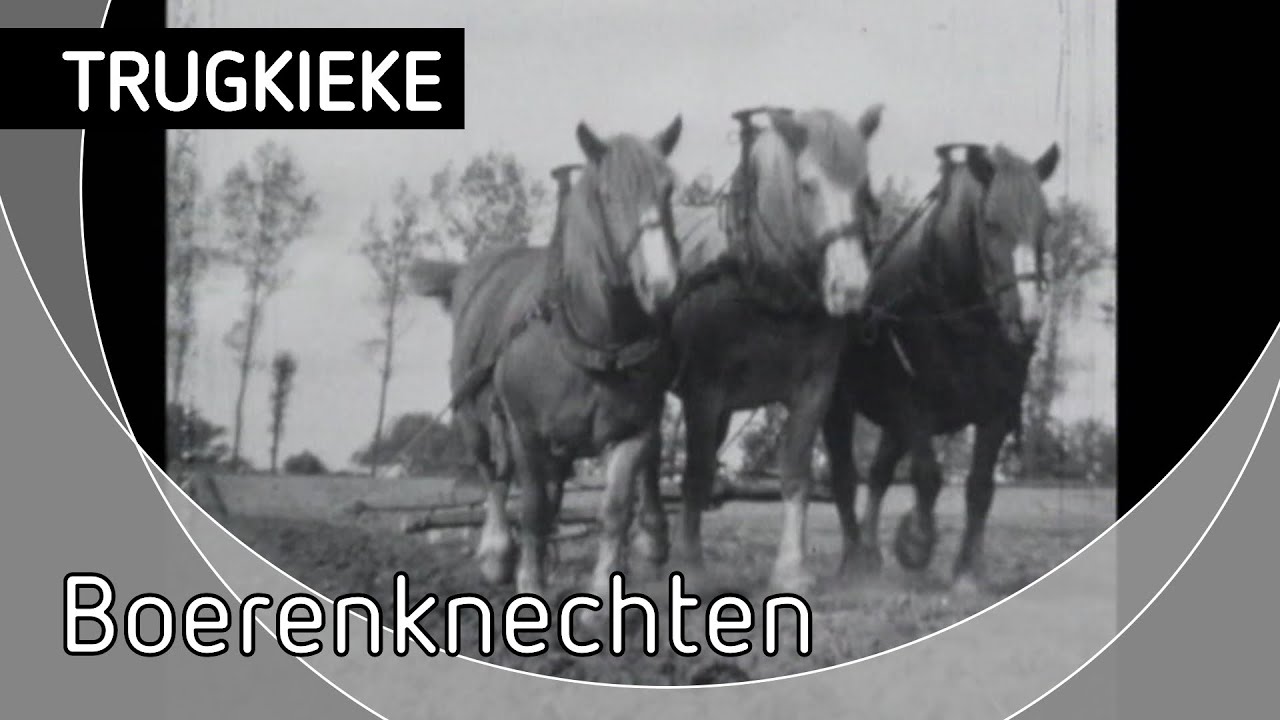 Trugkieke, Boerenknechten