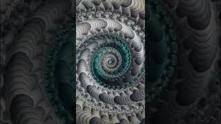 "You can't miss it" #animation #mandelbrot #meme #art #mandelbrotset #jax #abstract #trippy