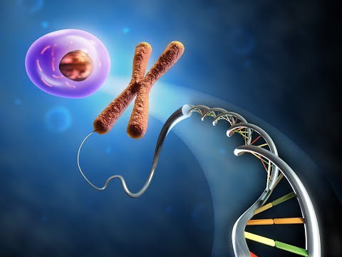 Video: DNK mikromassivlaridan nima uchun foydalanish mumkin?