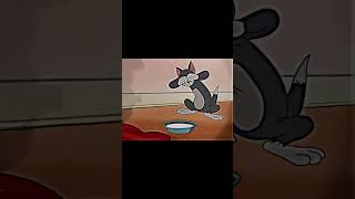 Tom & Jerry....The Invisible Mouse...Part 4....Kids Cartoon....Cartoons for kids