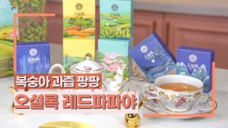 [ENG/JPN] 달콤한 과즙 젤리♡오설록 레드파파야 블랙티/ Osulloc's Red Papaya Black Tea♡ /スイートな果汁のゼリー♡オー雪緑レッドパパイヤ・ブラックティー