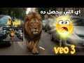 اعمل فديهات سينمائية بجودة الافلام بالذكاء الاصطناعي من اداء google veo 3 والاستفادة veo 2