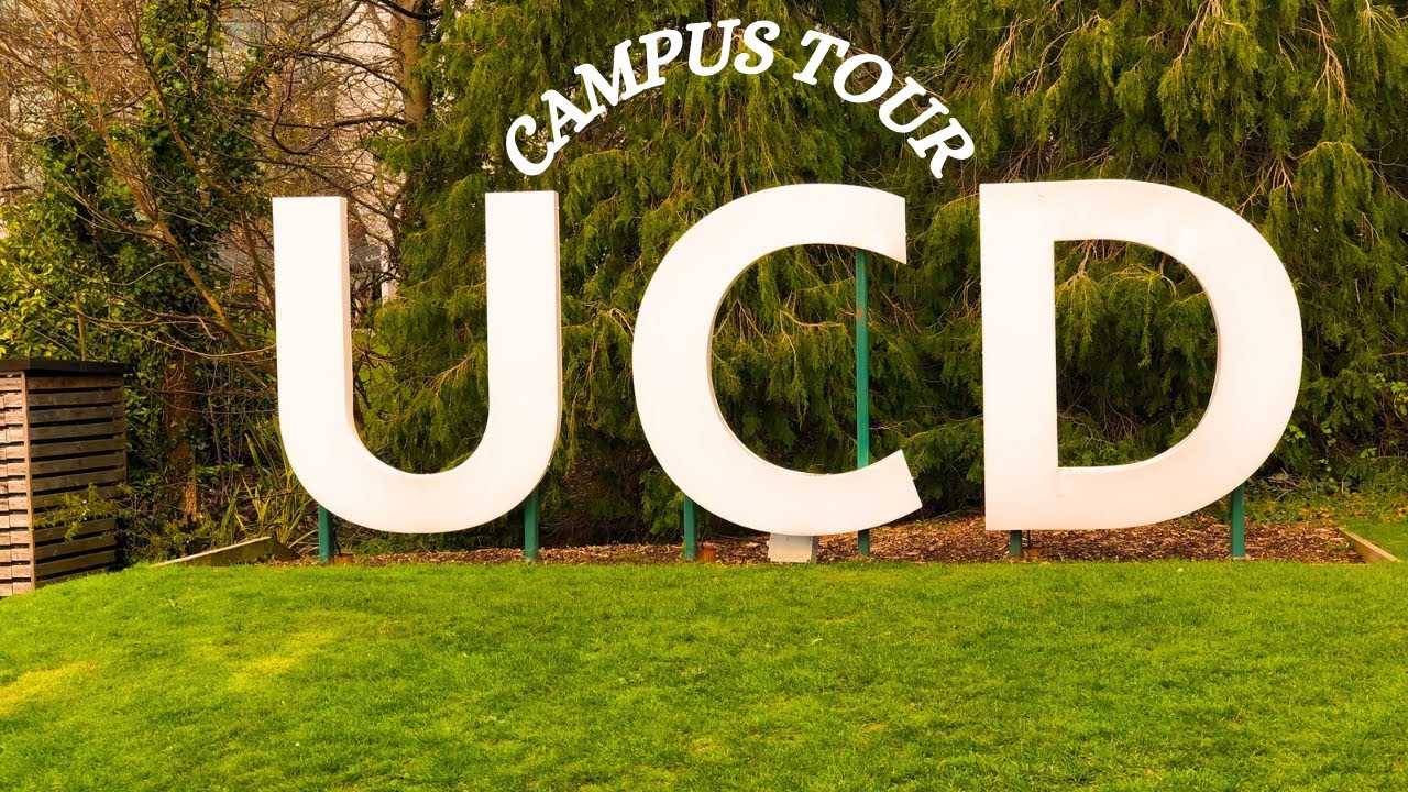UCD Campus tour || University College Dublin || Ireland 🇮🇪 || College life|| 4k walking tour