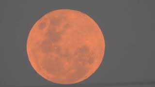 20190716T1600 X83 daylight moon 100%