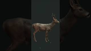 1 LAKE METHOD IS AWESOME! 😱 | The Hunter: Call of The WILD