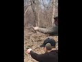 14 Years of Uploading Revolver Content to Youtube and my Own Personal Growth