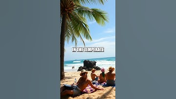 The Impact of Weather on Digital Nomad Life